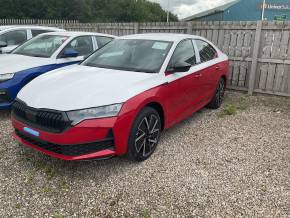 SKODA OCTAVIA   at Derek Slack Motors Ltd Middlesbrough