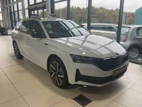SKODA OCTAVIA   at Derek Slack Motors Ltd Middlesbrough