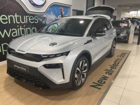 SKODA ELROQ   at Derek Slack Motors Ltd Middlesbrough