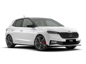 ŠKODA FABIA at Derek Slack Motors Ltd Middlesbrough