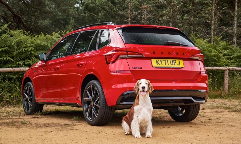 Škoda is confirmed as Official Automotive Partner of Crufts