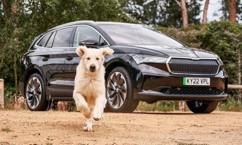 Škoda is confirmed as Official Automotive Partner of Crufts