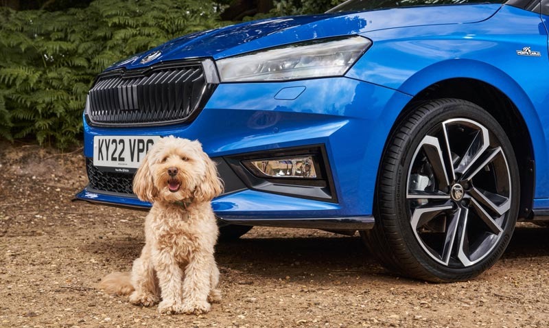 Škoda is confirmed as Official Automotive Partner of Crufts
