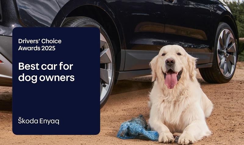 Enyaq named Best in Show for dog owners
