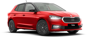 SKODA FABIA HATCHBACK at Derek Slack Motors Ltd Middlesbrough