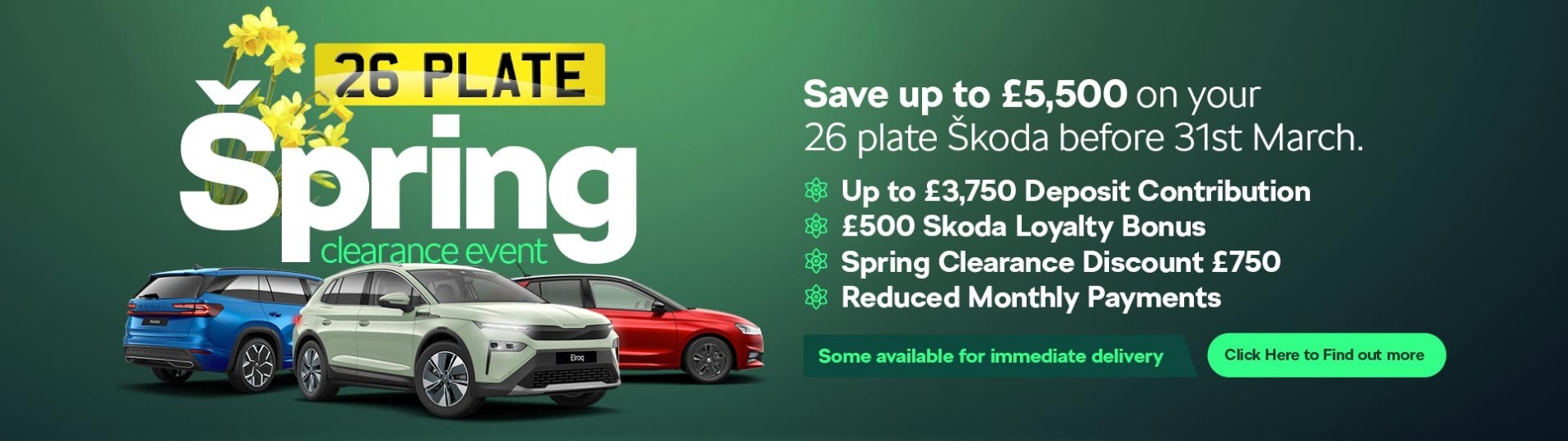 Spring Clearance - 1